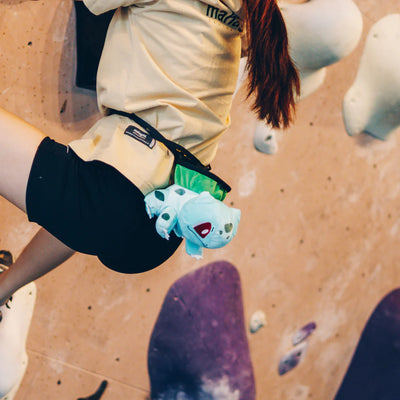 Bulbasaur Chalk Bag